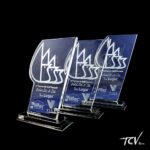 Trofeo Vifac - Imagen 2